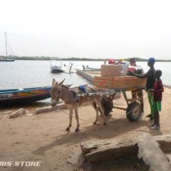 éléctrification solaire d'un école sur l'île de Saloum au Sénégal