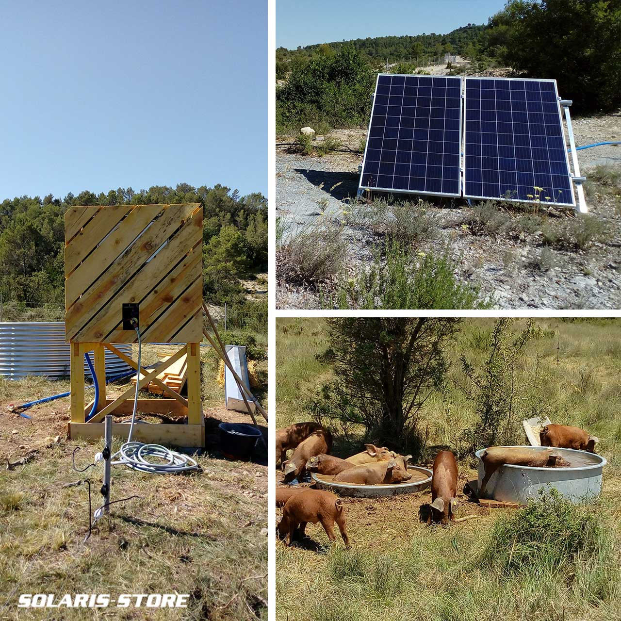 Abreuvoir solaire autonome pour une ferme d'élevage dans l’Hérault