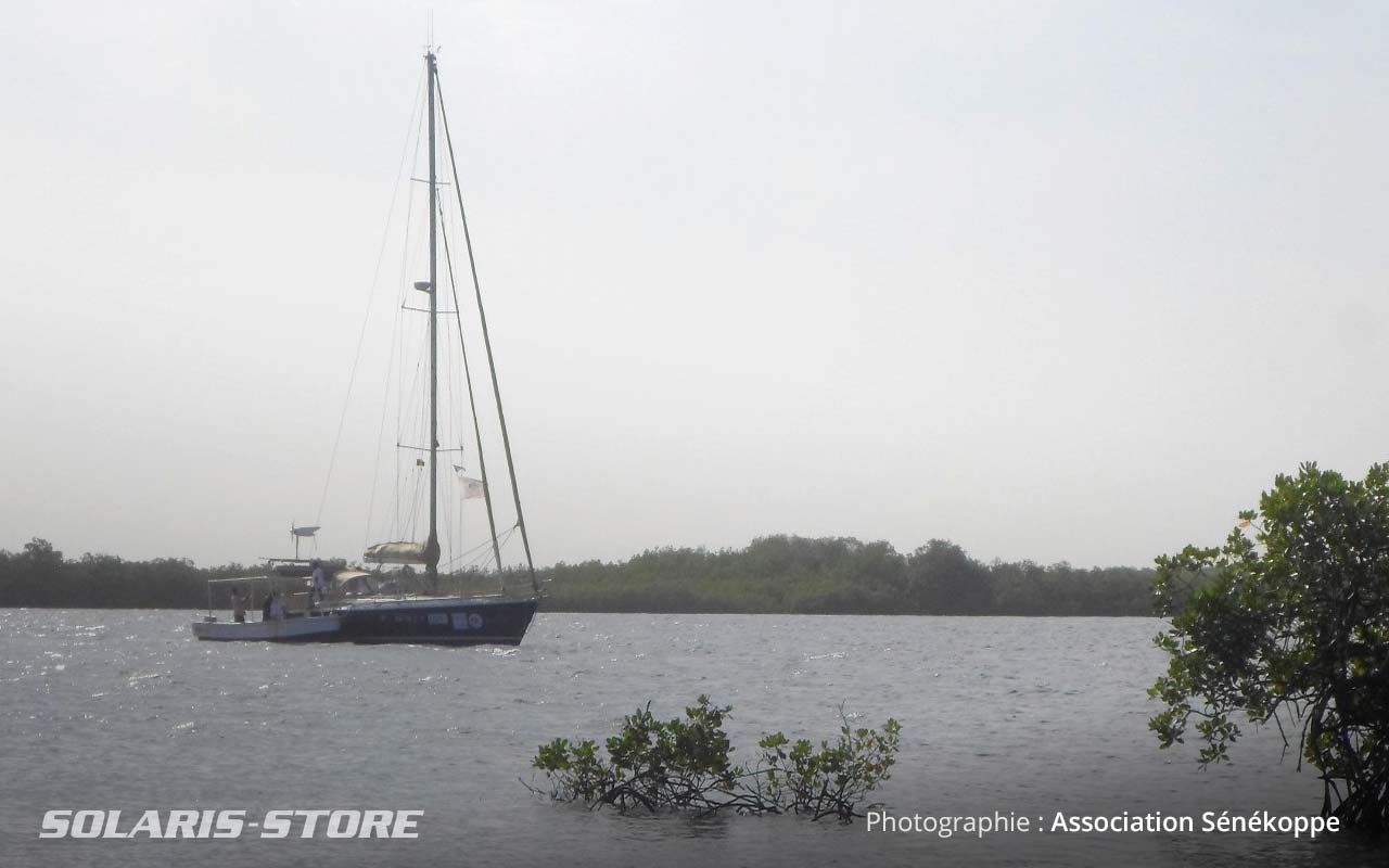 Accostage du voilier sur les îles du Saloum au Senegal.jpg